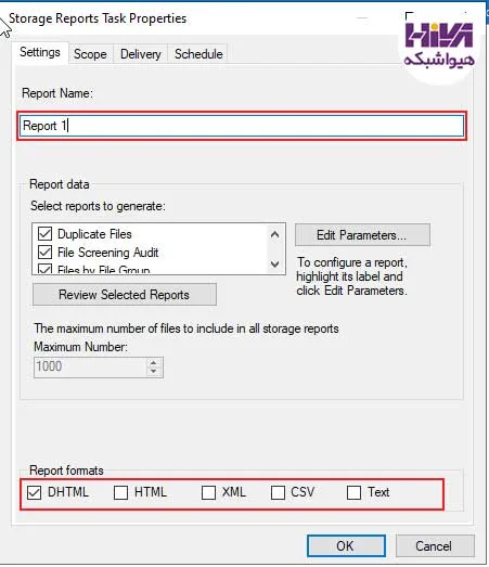 File Server چیست