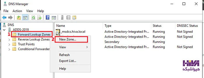 Active Directory Integrated (ADI) DNS Zone