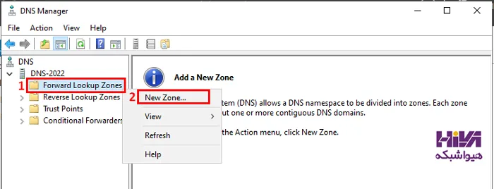 DNS Zone