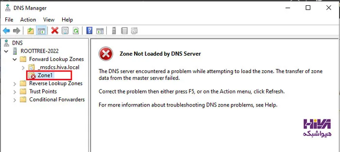 DNS Zone