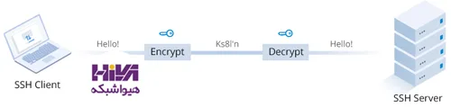 امنیت روترها و سوئیچ‌ها